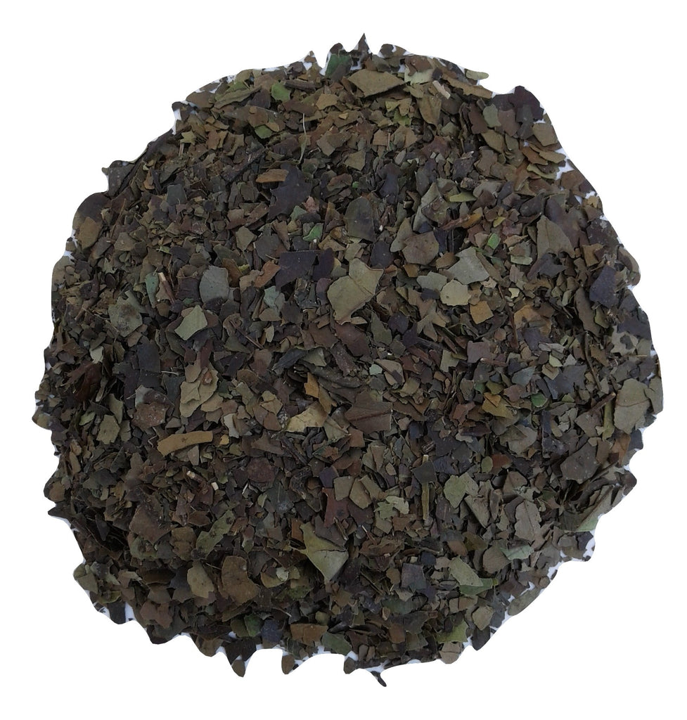 organic guayusa herbal tea. ecuador